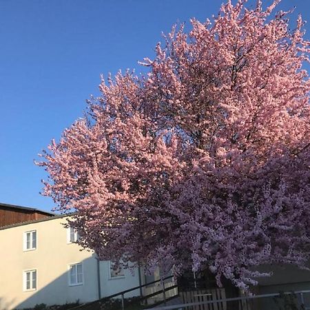 Landpension Gschwantner Lengenfeld エクステリア 写真